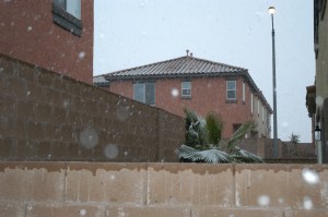 Vegas snow storm Snowing in Las Vegas, Dec. 17, 2008. Second day in a row!