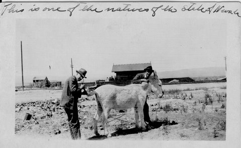 Northern Nevada circa 1920-1930. Photo courtesy of Rick Cooper via Creative Commons
